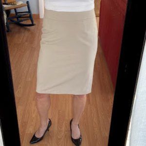 Sexy, Versatile, CK Pencil Skirt
